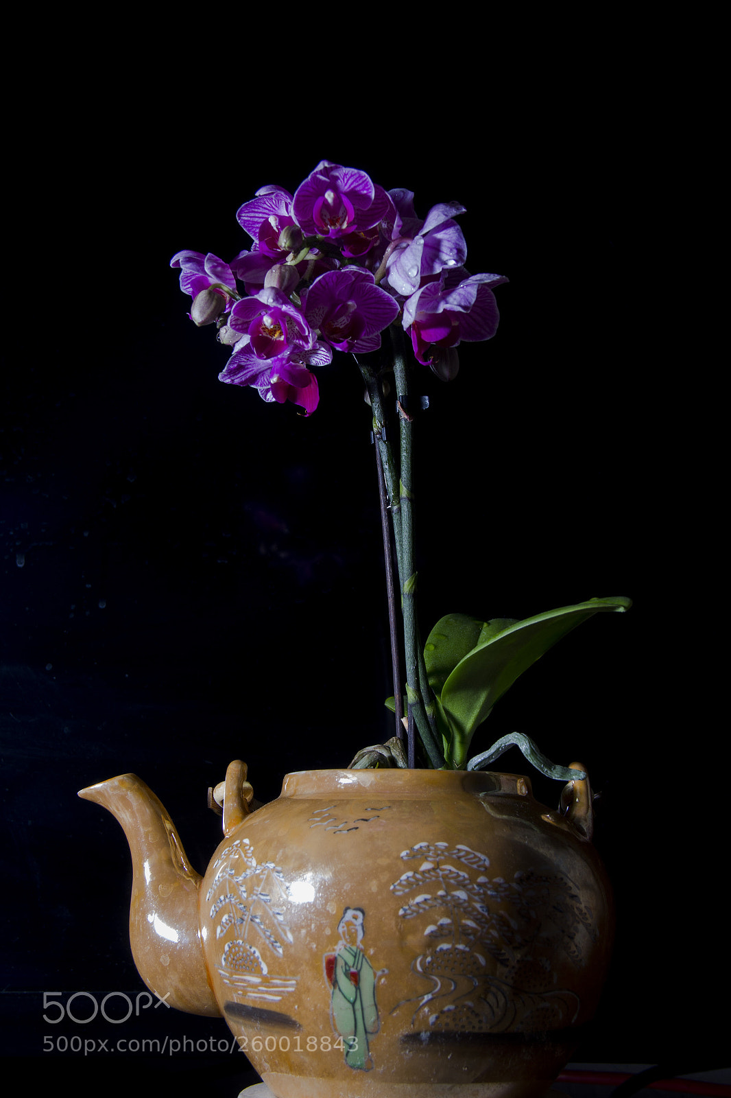 Canon EOS 60D sample photo. Img photography