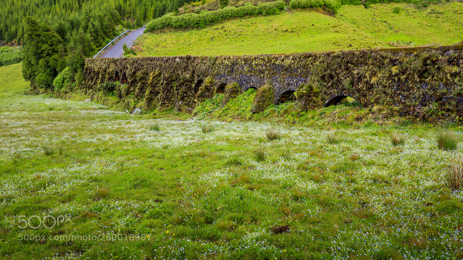 Canon EOS 5D Mark IV sample photo. A ores-s o miguel-aqueduto photography
