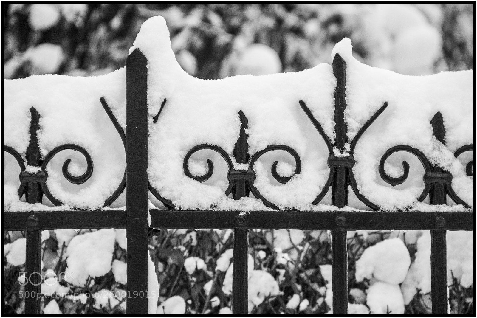 Canon EOS 760D (EOS Rebel T6s / EOS 8000D) sample photo. Intrication hivernale - winter photography