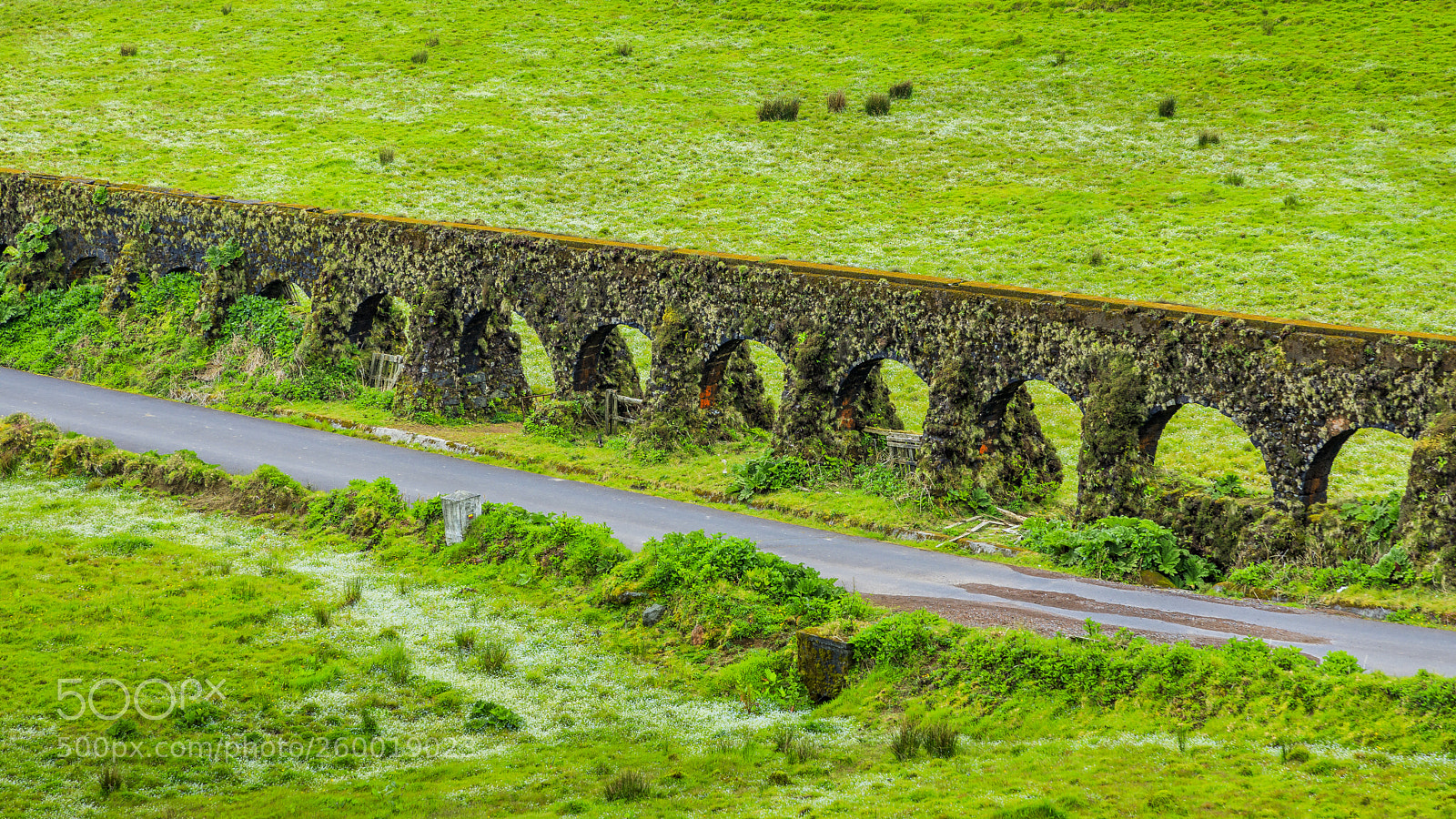 Canon EOS 5D Mark IV sample photo. A ores-s o miguel-aqueduto photography