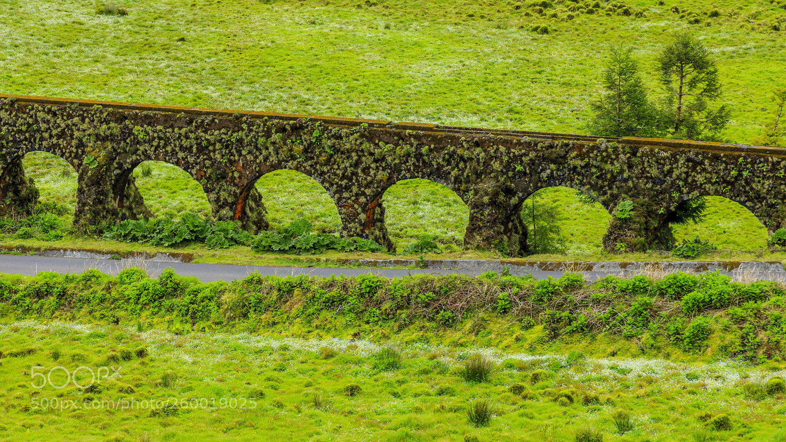 Canon EOS 5D Mark IV sample photo. A ores-s o miguel-aqueduto photography