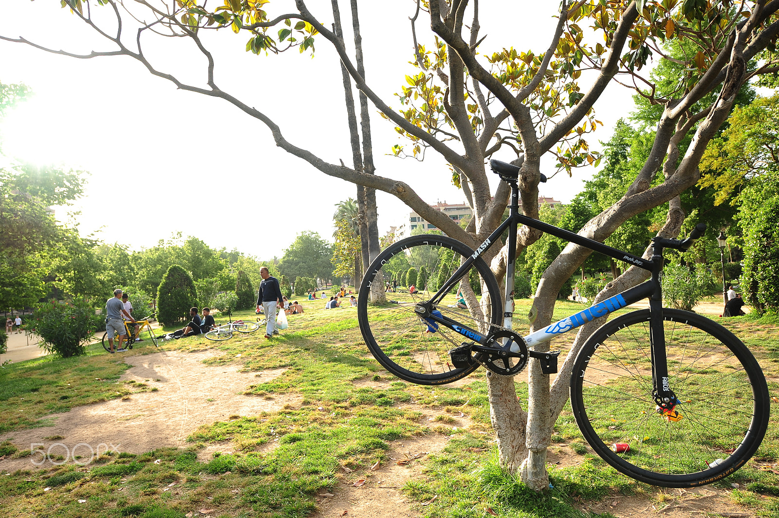 Nikon D3 sample photo. Track bikes photography