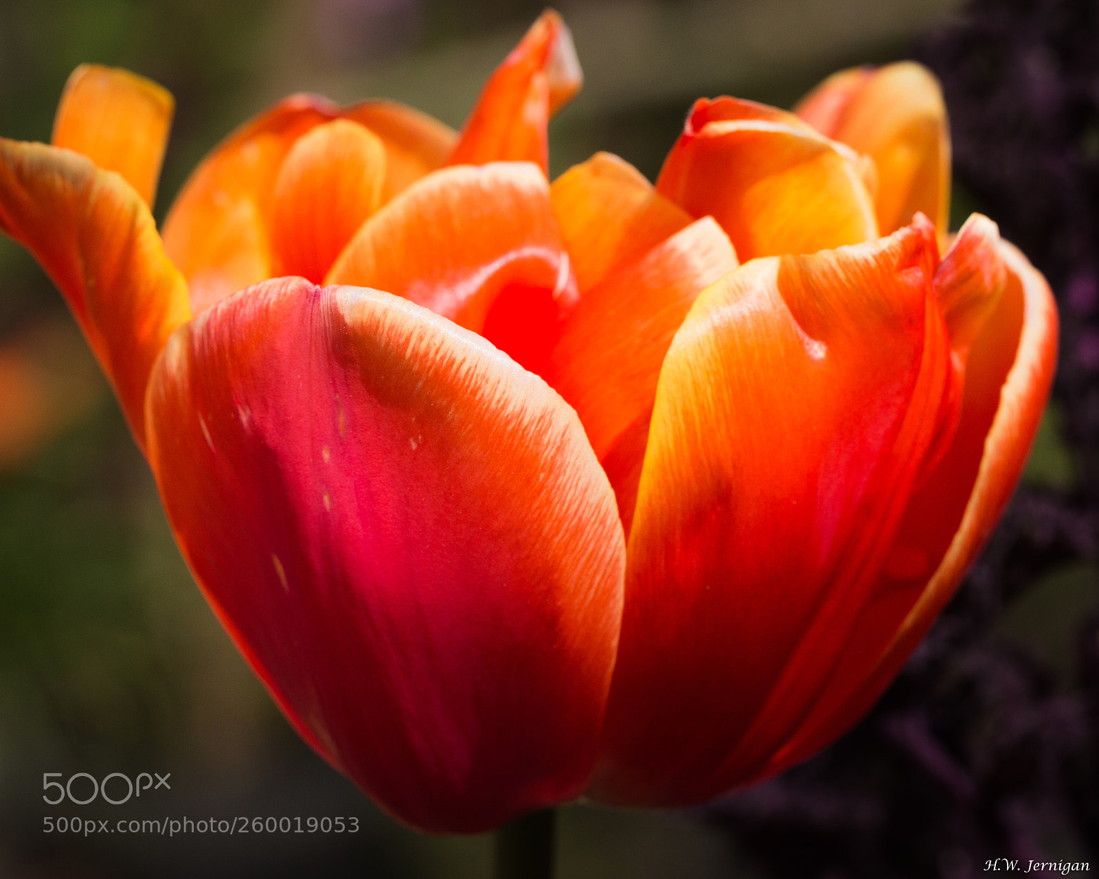 Canon EOS 6D sample photo. Glow photography