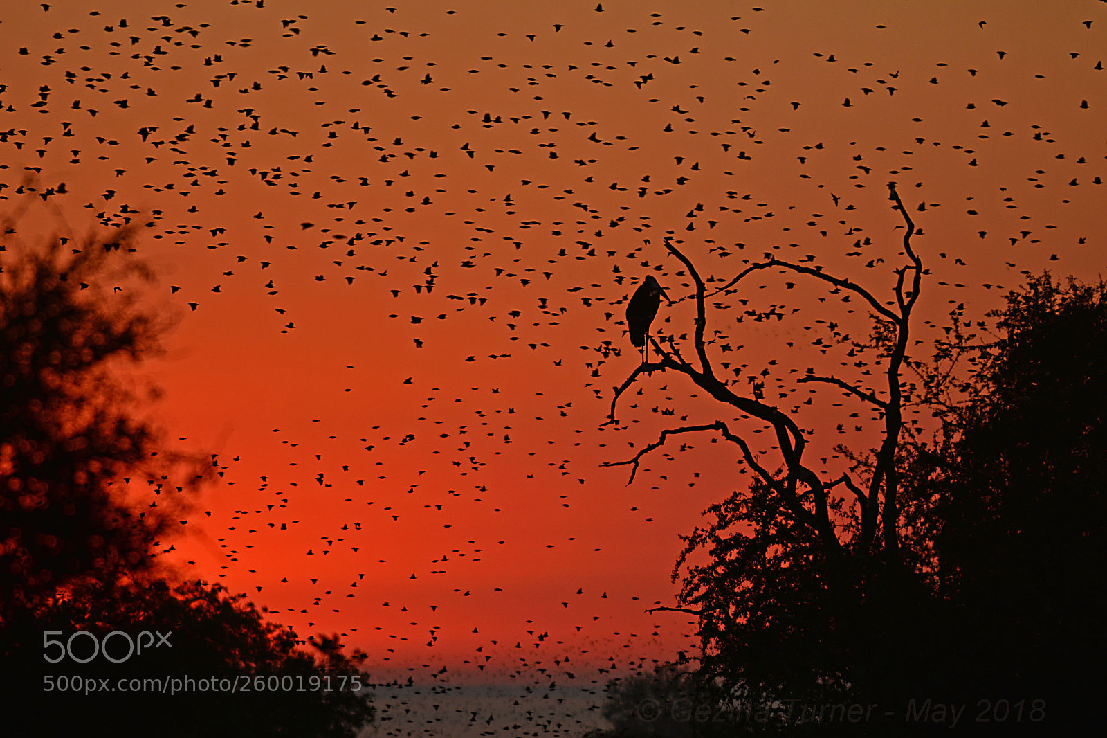 Nikon D7100 sample photo. Seconds before sunrise photography