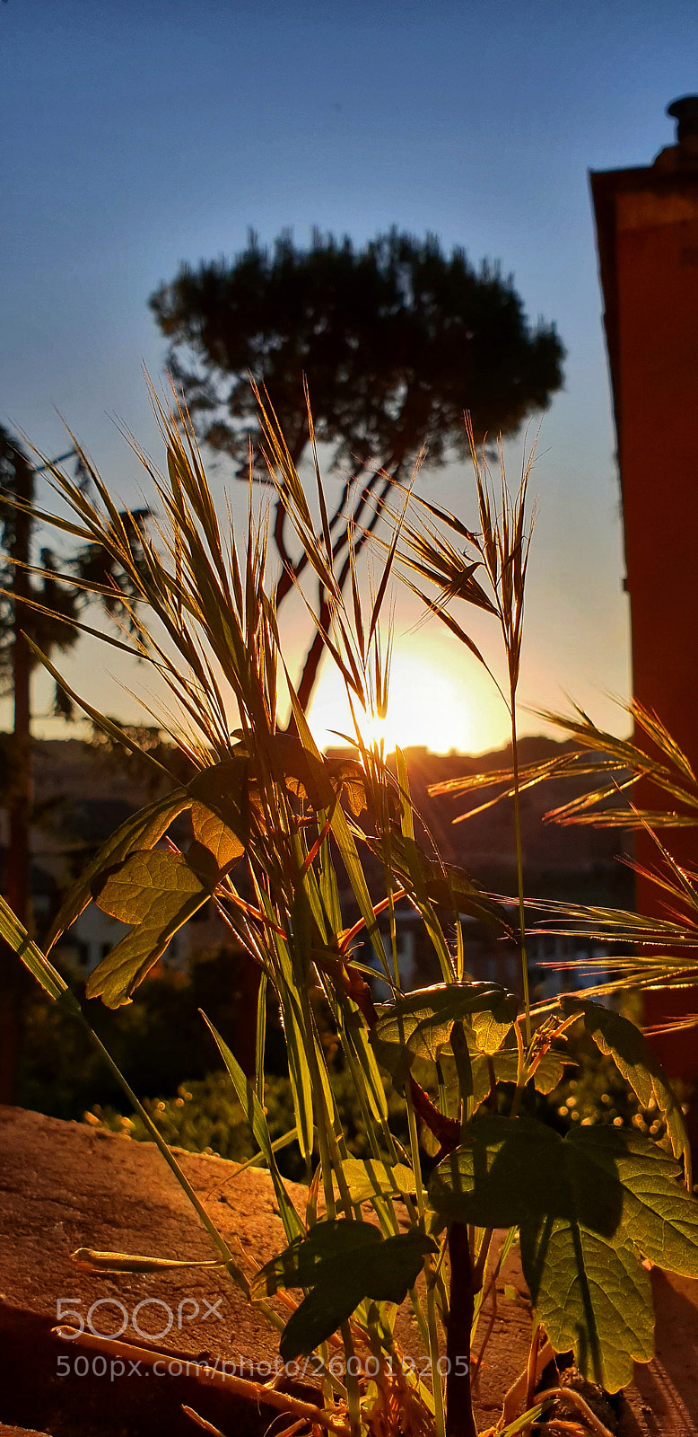 Samsung Galaxy S9 sample photo. Untitled photography