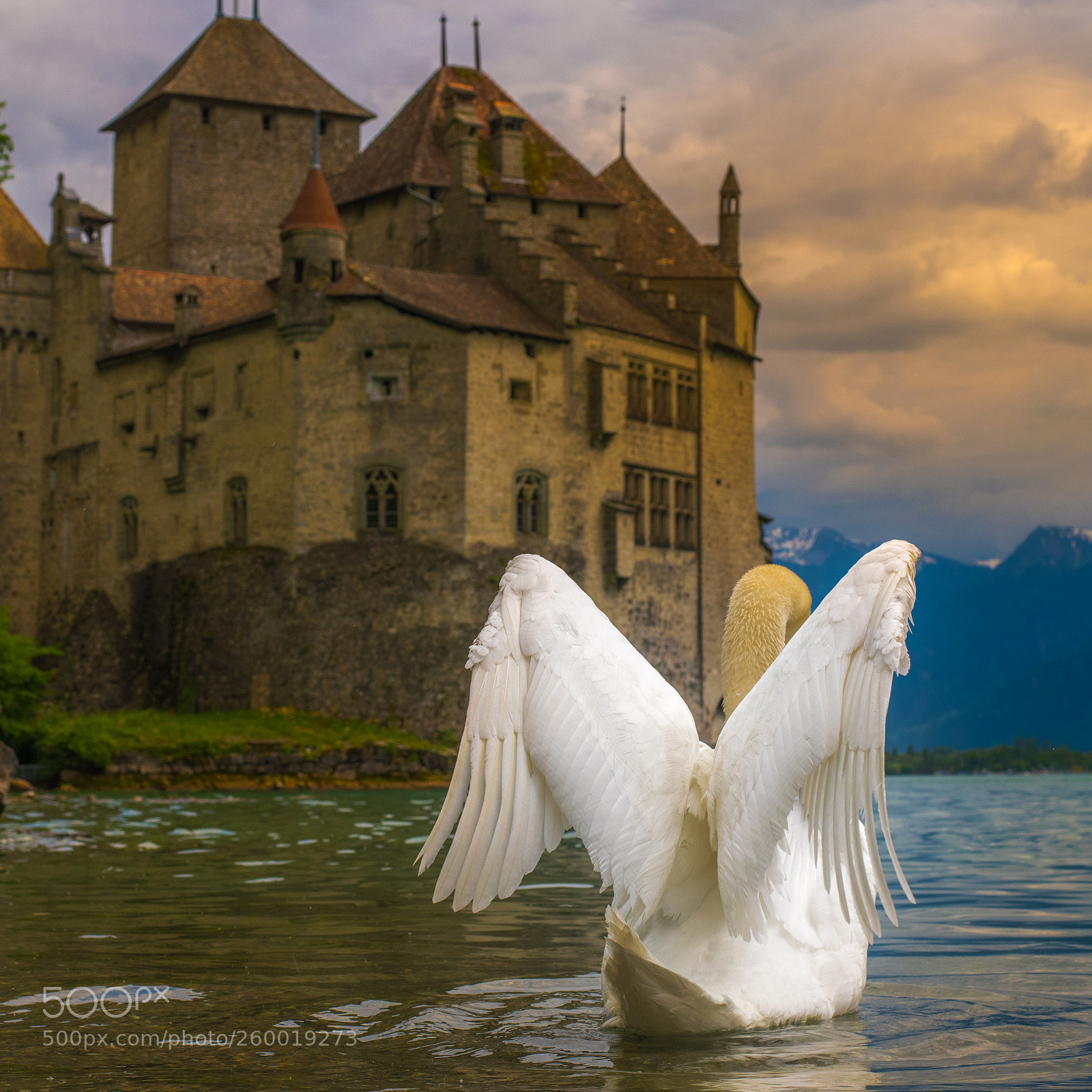 Nikon D850 sample photo. Beautiful fantasy photos of photography