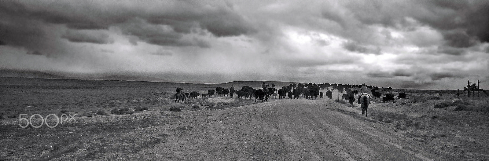 Apple iPad sample photo. Wyoming cowboys : bitter creek road photography
