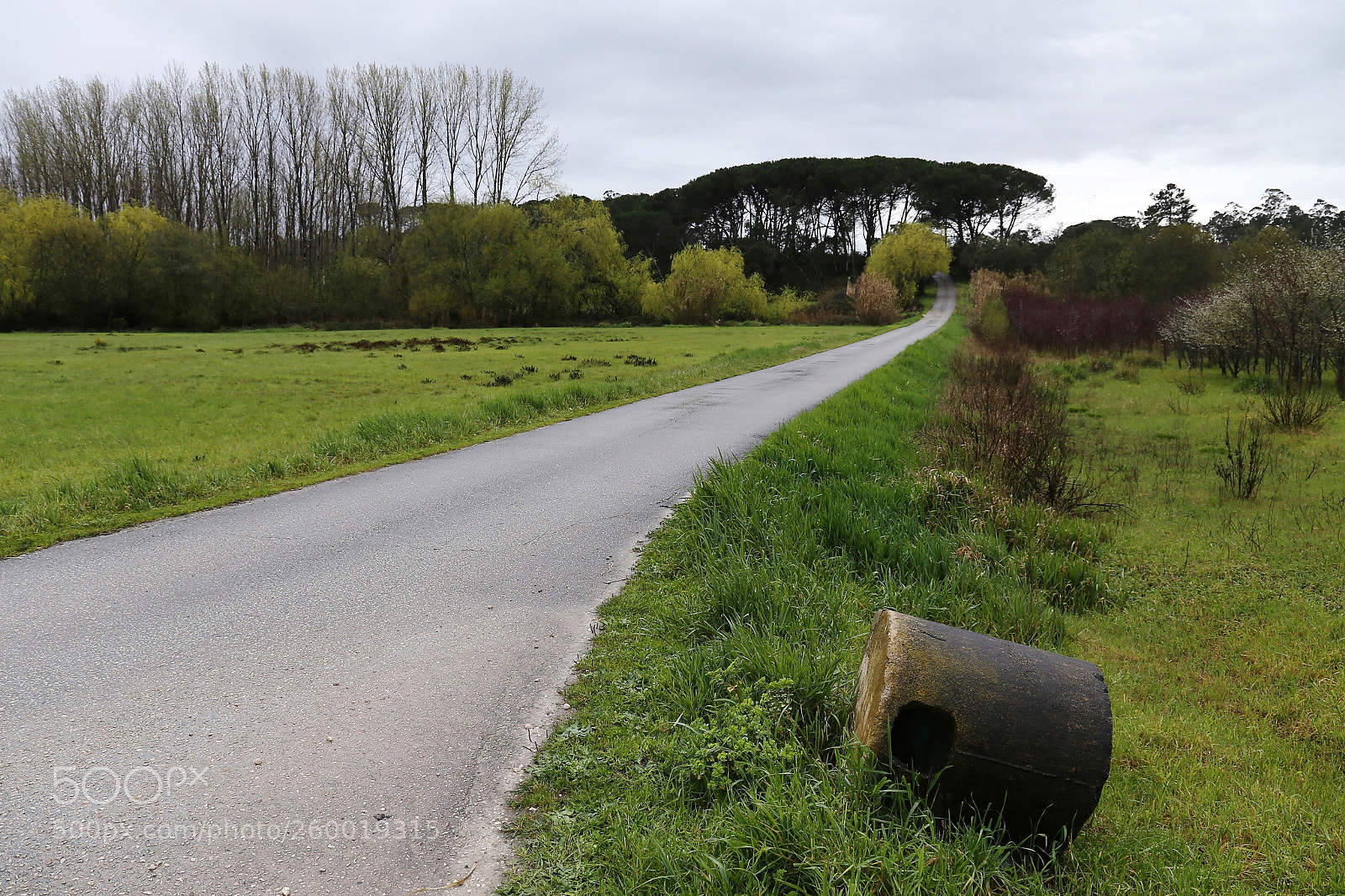 Canon EF 24-105mm F3.5-5.6 IS STM sample photo. The road photography