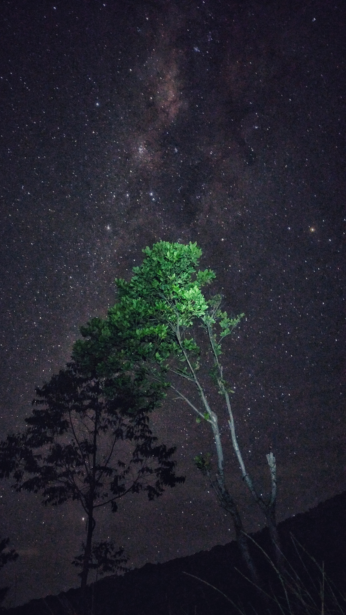 Xiaomi MI 5 sample photo. Star photography