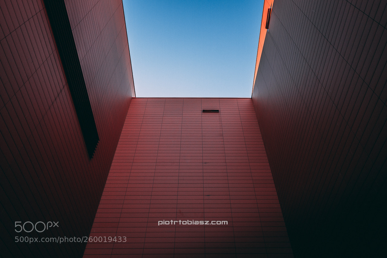 Canon EOS 7D sample photo. Minimal. photography