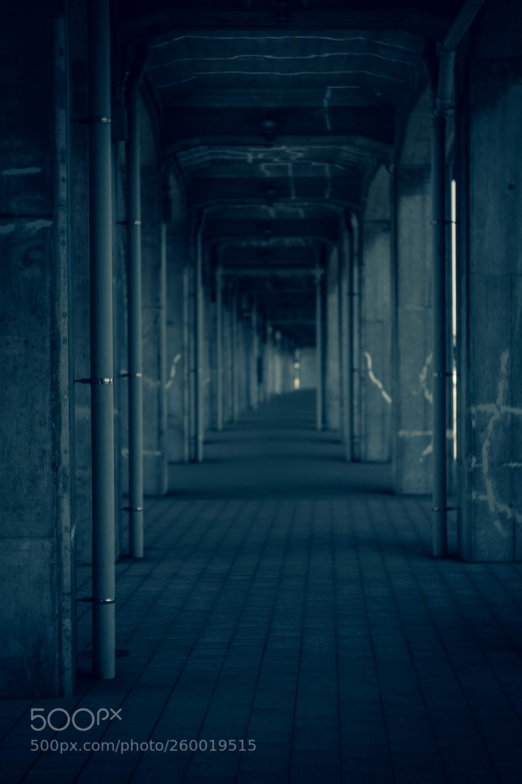 Fujifilm X-T1 sample photo. Tunnel photography
