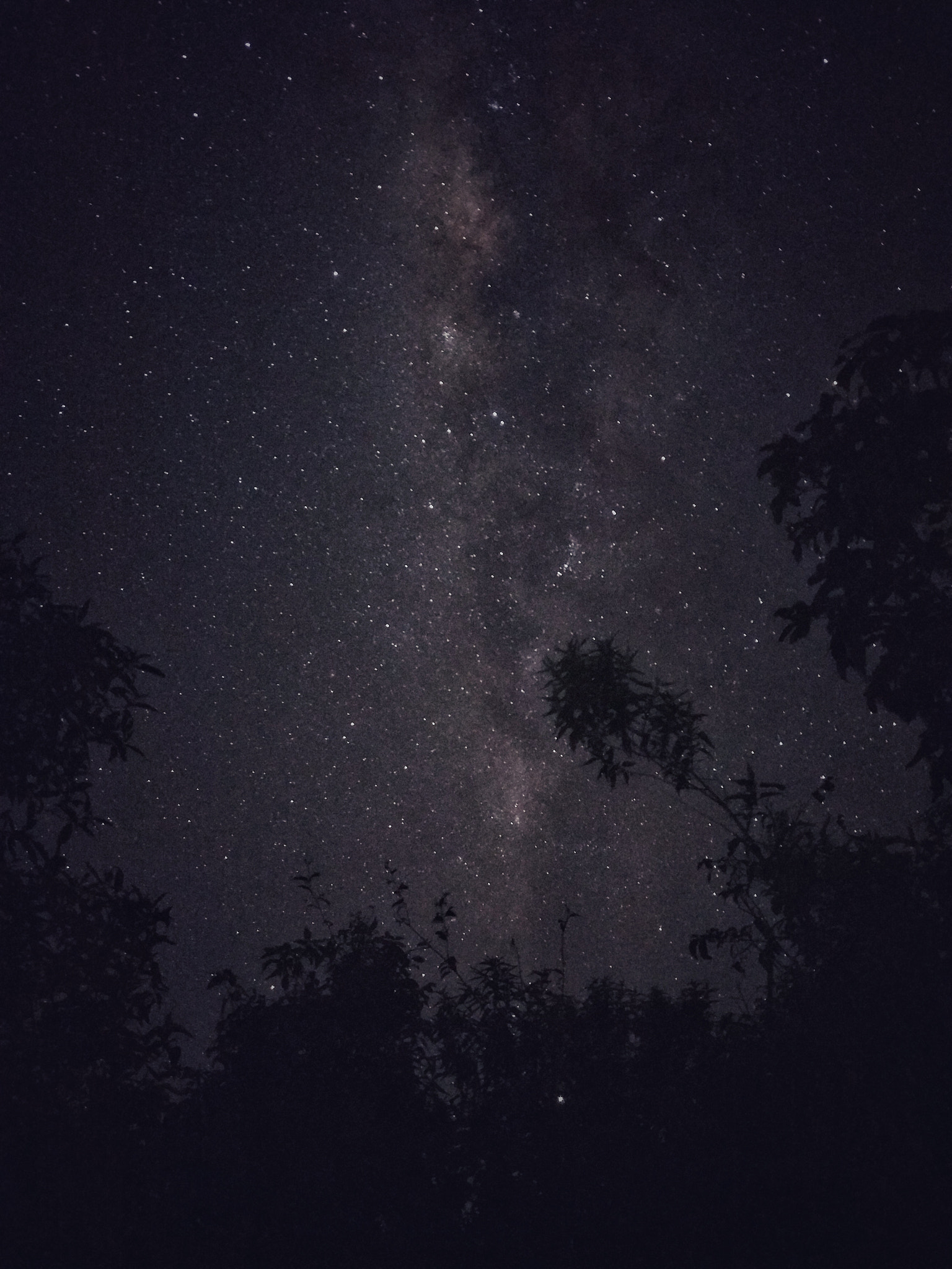 Xiaomi MI 5 sample photo