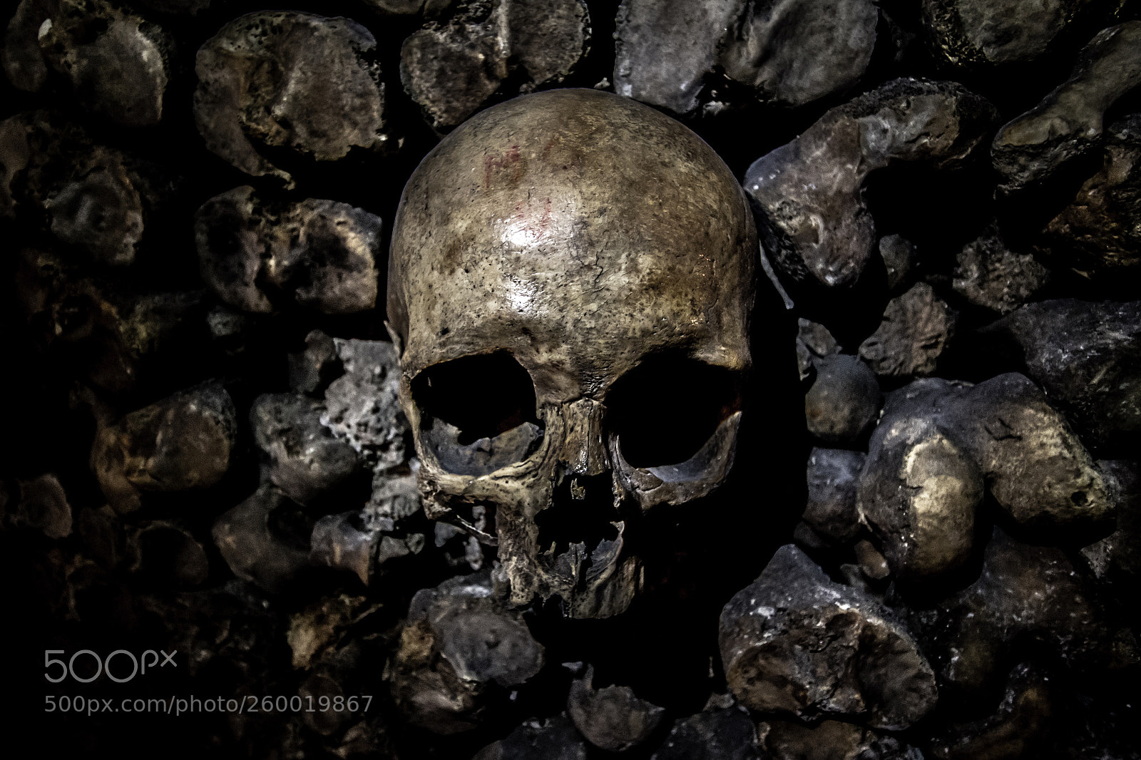 Canon EOS 70D sample photo. Skull in the catacombs photography