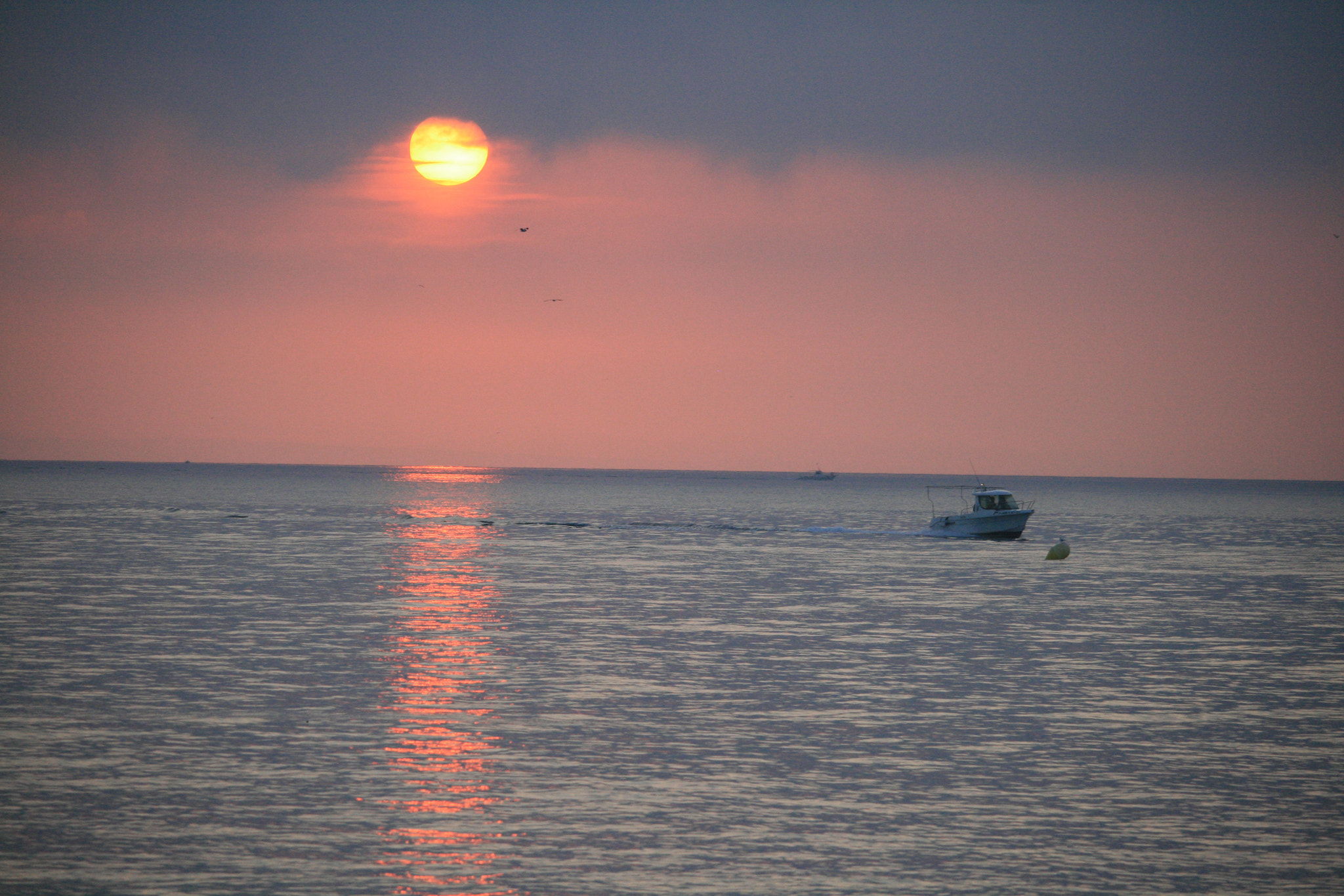 Canon EF-S 55-250mm F4-5.6 IS STM sample photo