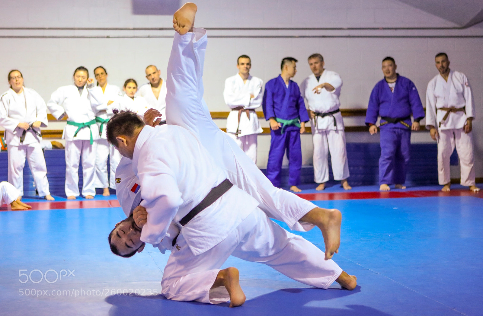 Canon EOS 5D Mark IV sample photo. Embassy portfolio: judo demonstration photography