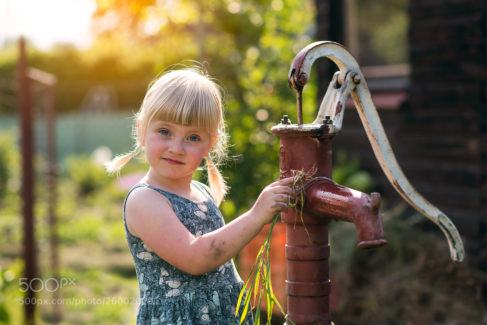 Nikon D750 sample photo. Painting a water pump photography
