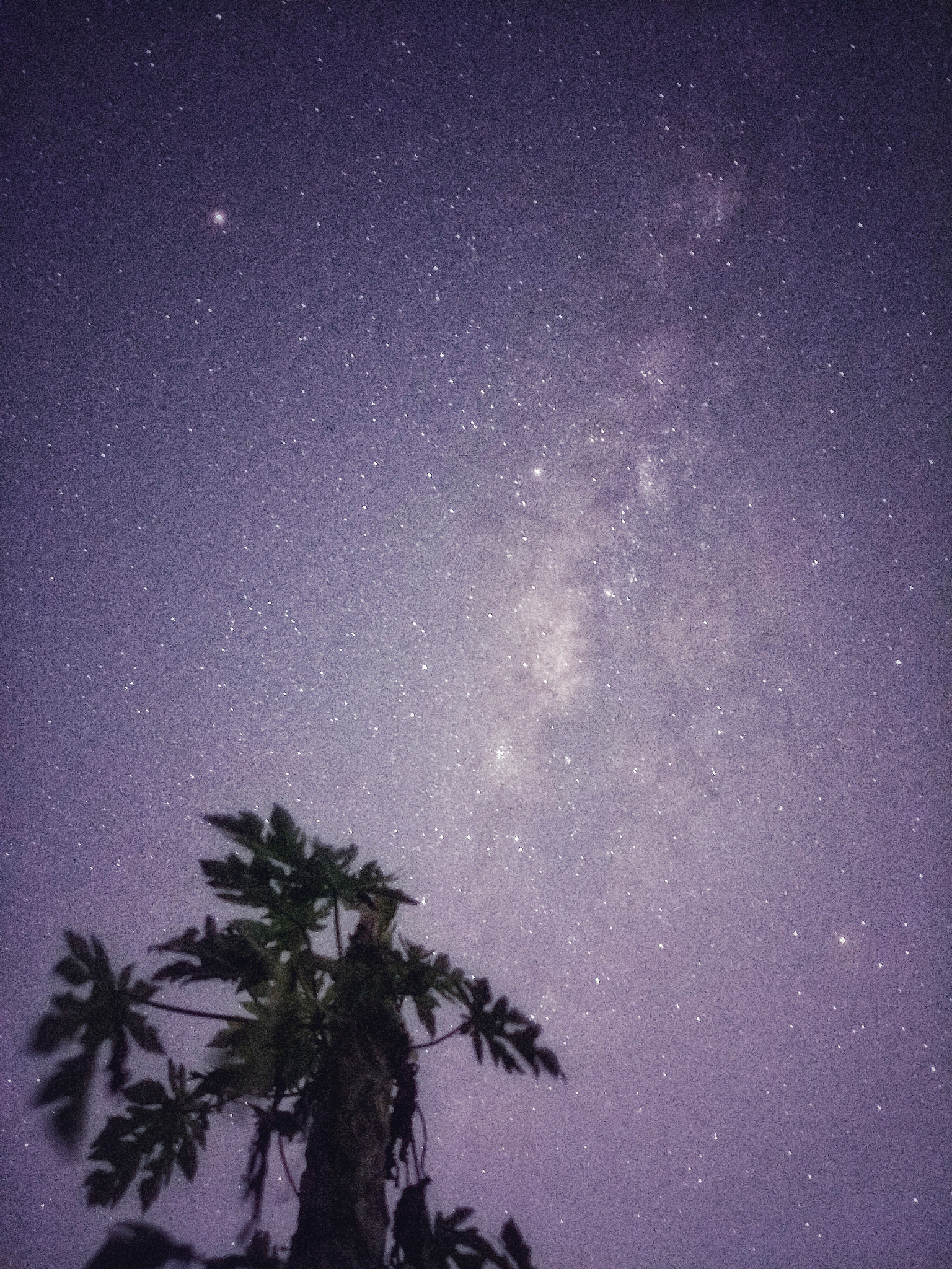 Xiaomi MI 5 sample photo. Star photography