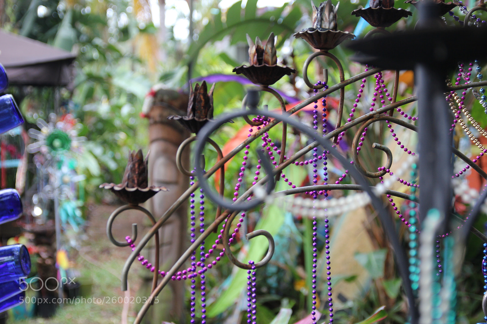 Canon EOS 550D (EOS Rebel T2i / EOS Kiss X4) sample photo. Img photography