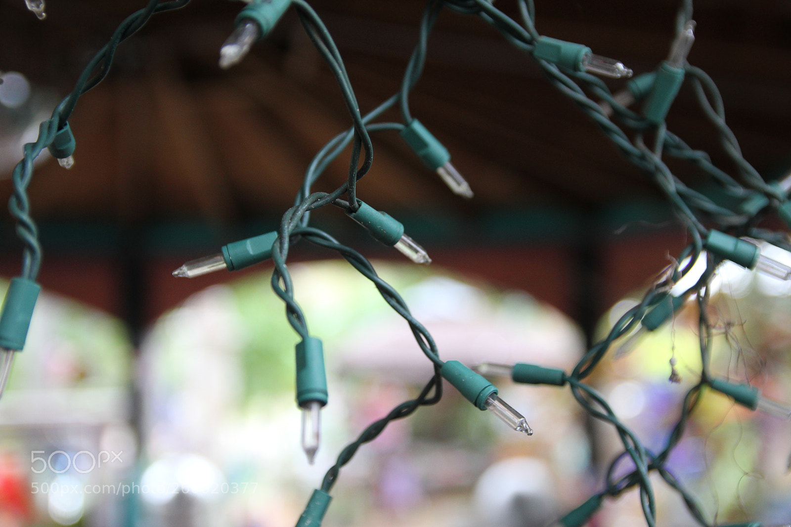 Canon EOS 550D (EOS Rebel T2i / EOS Kiss X4) sample photo. Img photography