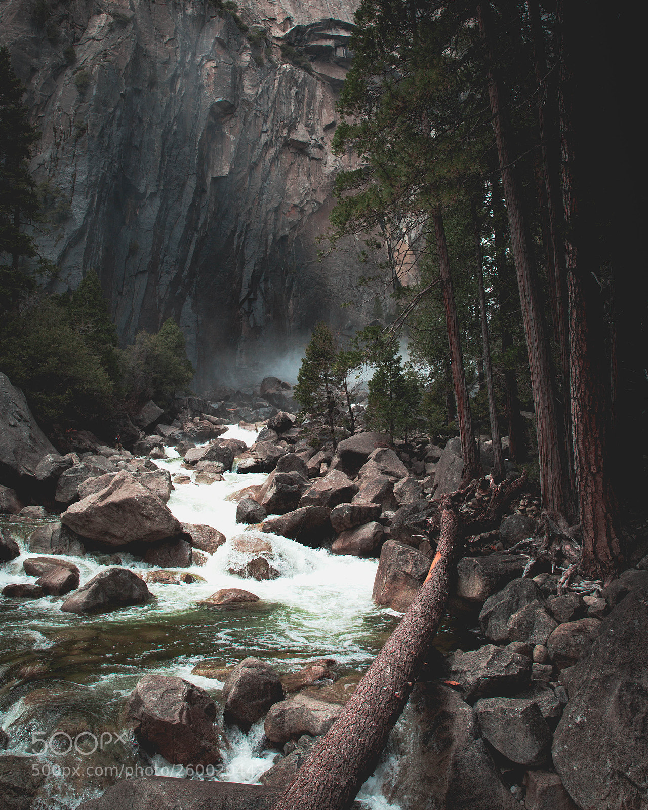 Canon EOS 6D sample photo. Yosemite w photography