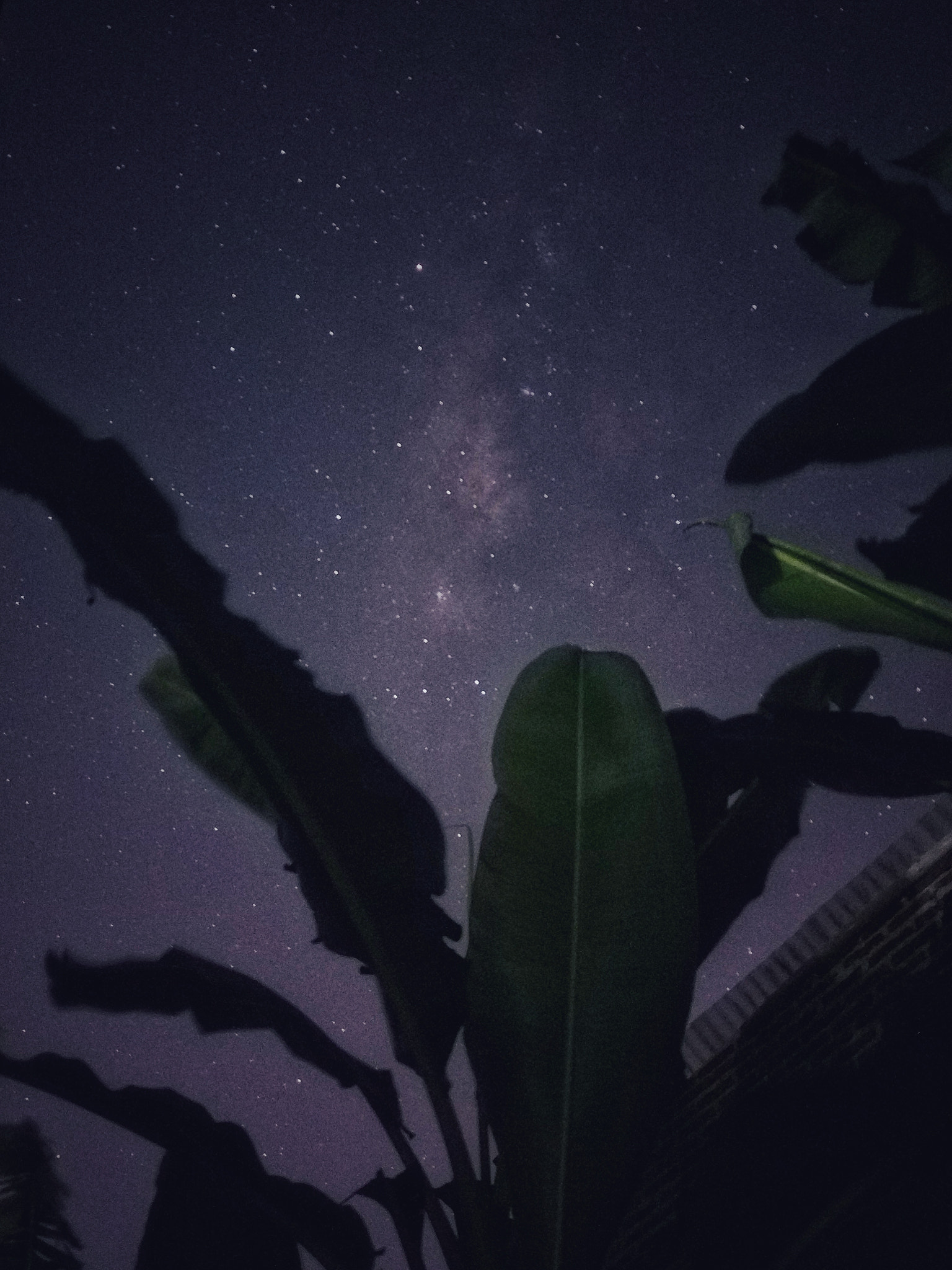 Xiaomi MI 5 sample photo. Milky way photography