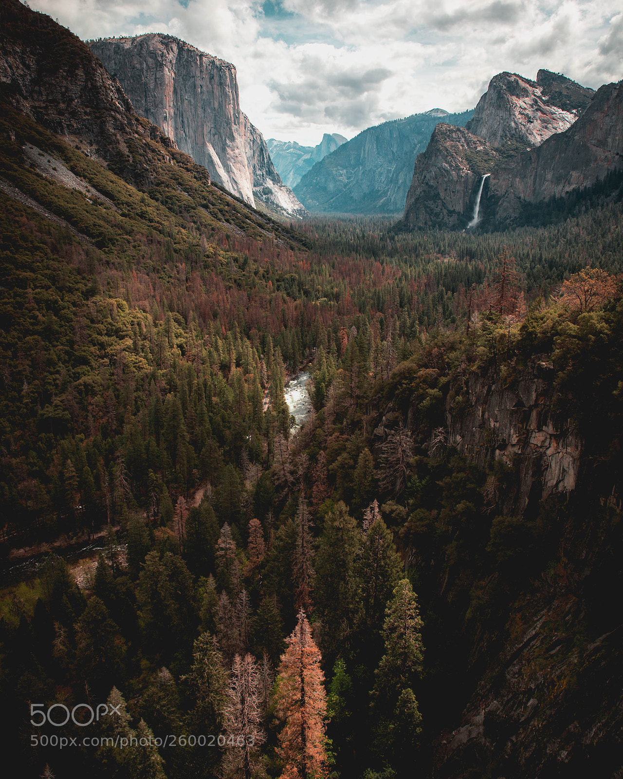 Canon EOS 6D sample photo. Yosemite p photography