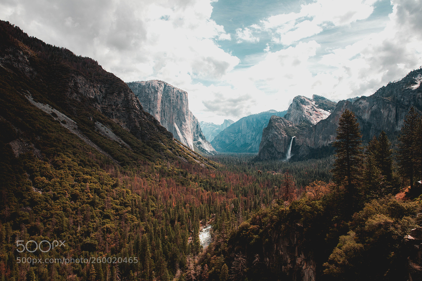 Canon EOS 6D sample photo. Yosemite l photography
