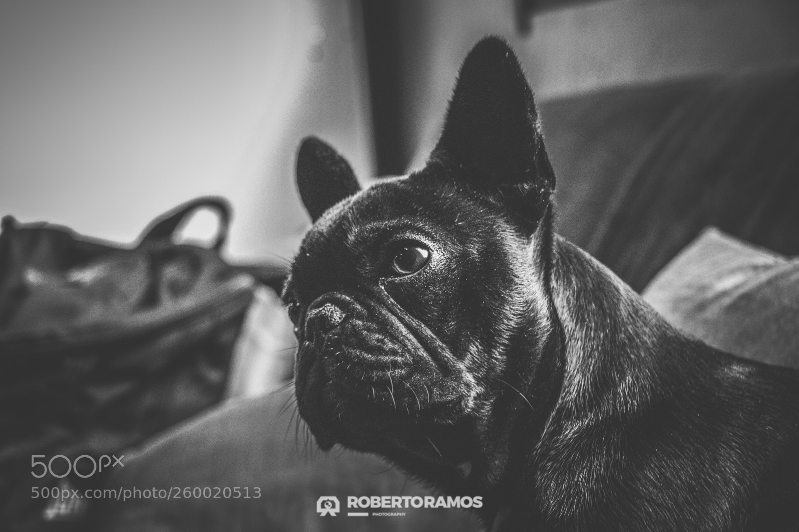 Canon EOS 80D sample photo. Apaz!! photography