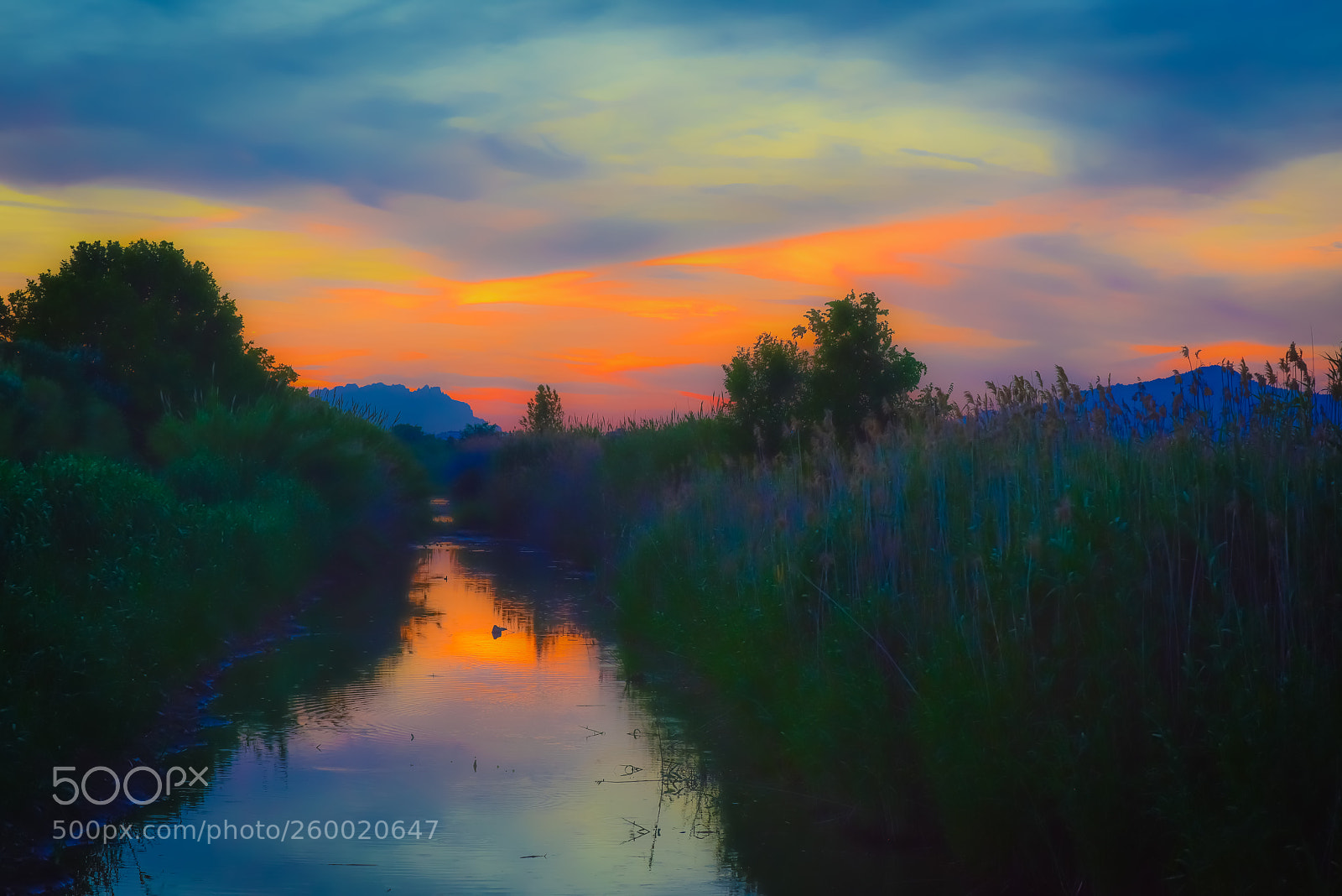 Nikon D810 sample photo. Atardecer photography