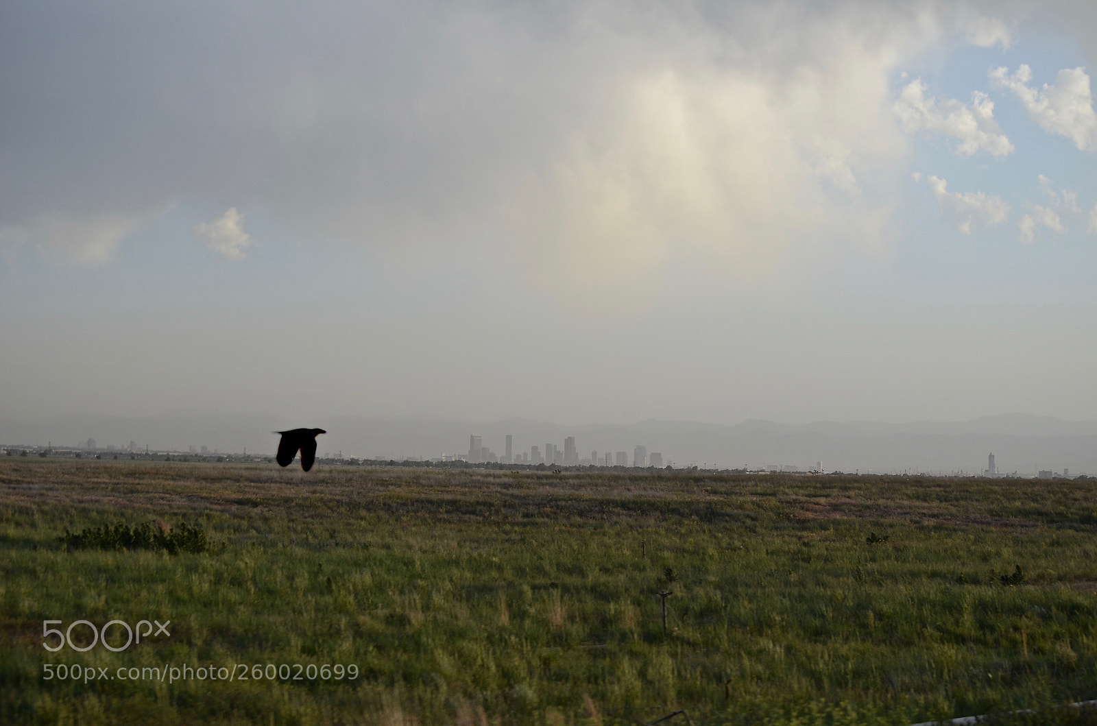 Nikon D7000 sample photo. Mile high... photography