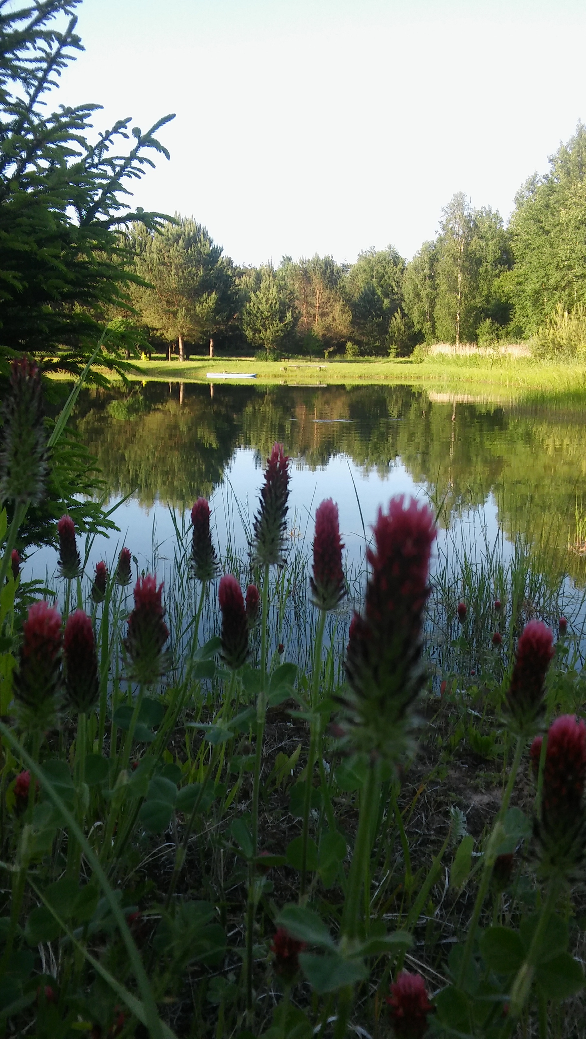 LG SPIRIT 4G LTE sample photo. Relax photography