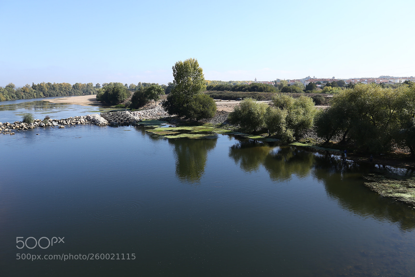 Canon EF 24-105mm F3.5-5.6 IS STM sample photo. So quiet photography