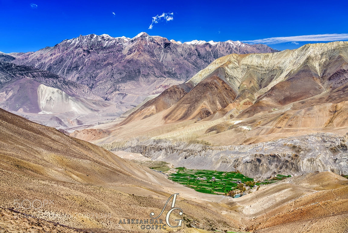 Nikon D850 sample photo. Hidden oasis photography