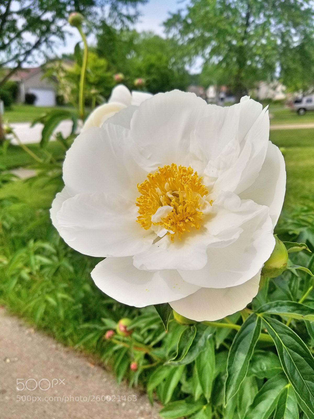 Samsung Galaxy S8 sample photo. Untitled photography