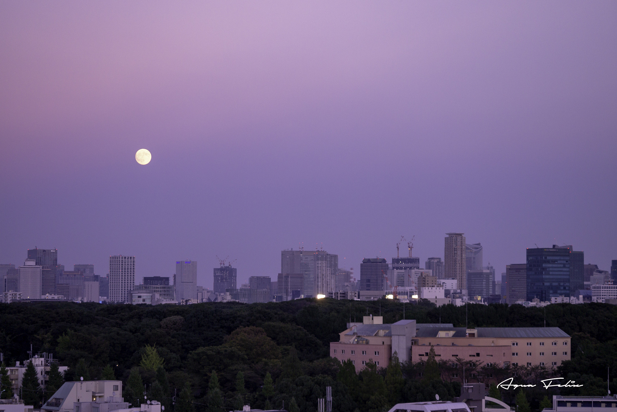 Panasonic Lumix DMC-GX1 sample photo. Tokyo ‘s skyscraper with full moon photography