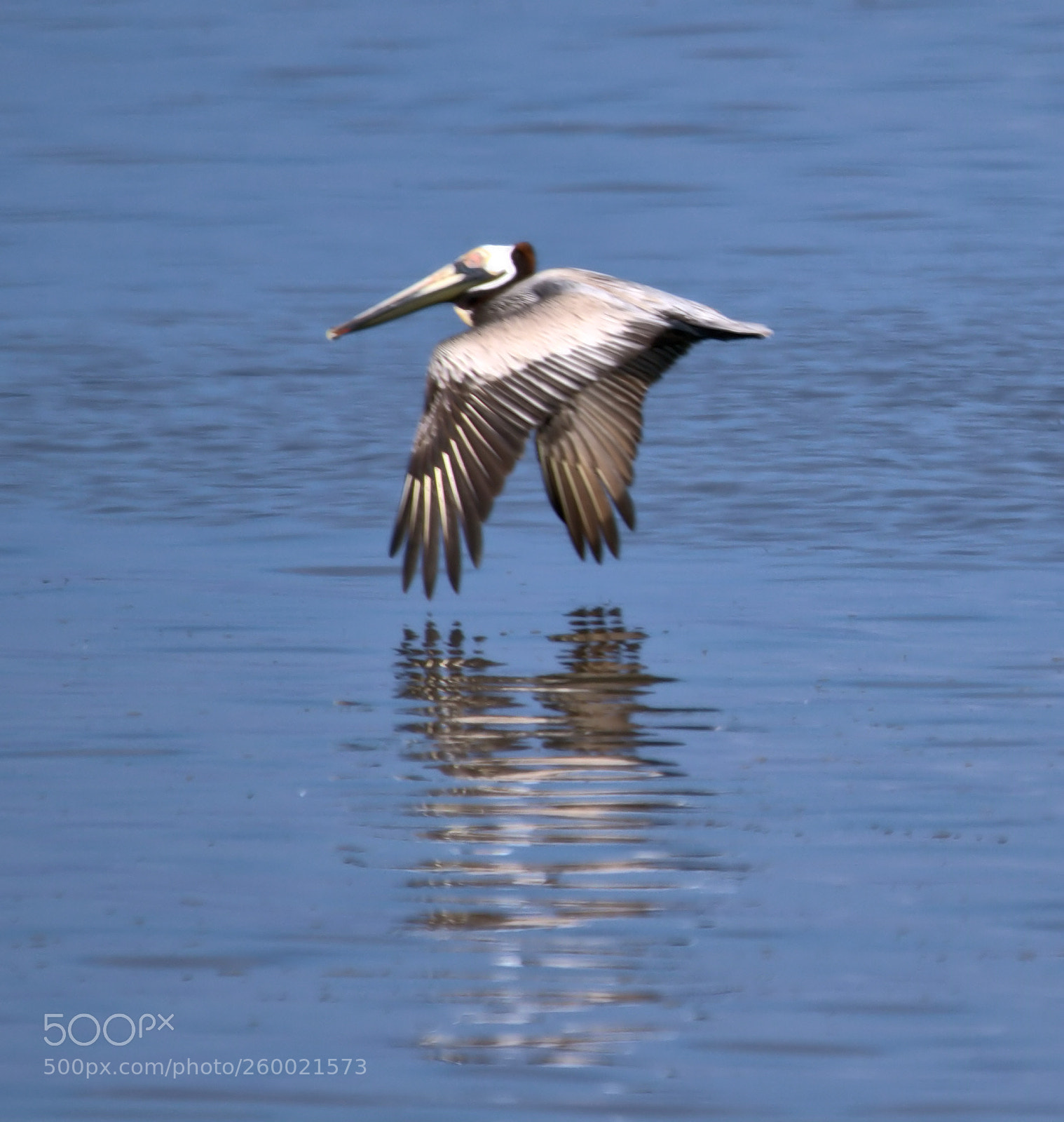 Canon EOS 7D Mark II sample photo. 092.jpg photography