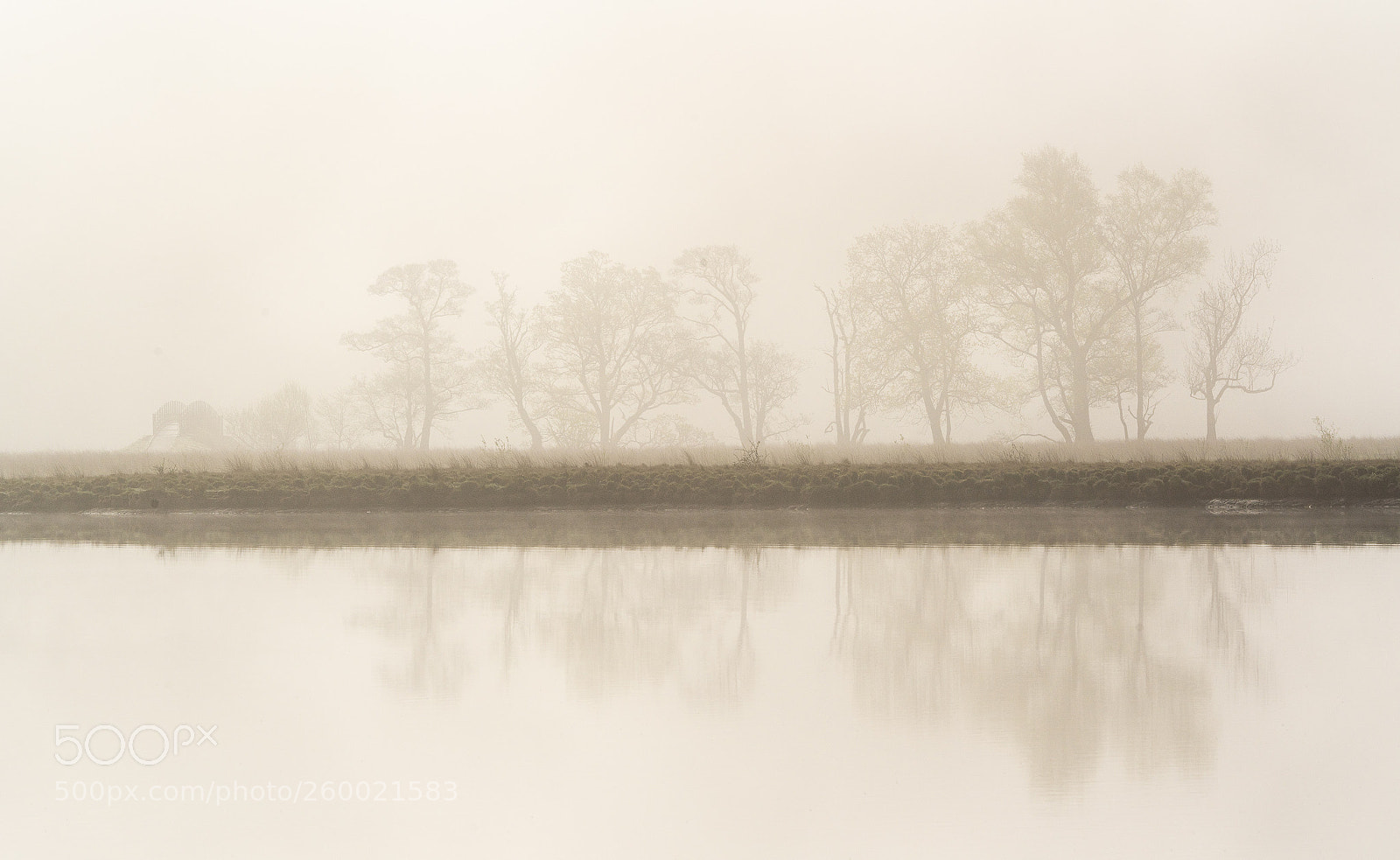 Sony a7R III sample photo. Across derwentwater photography
