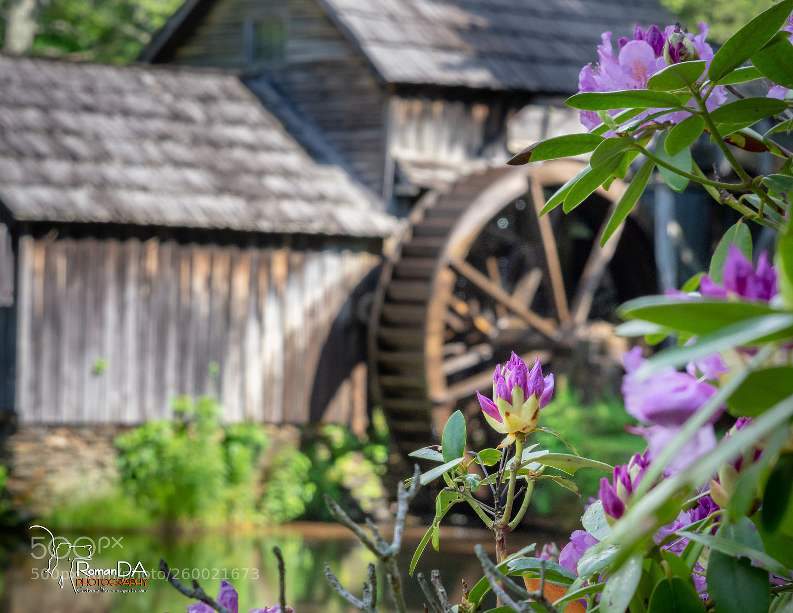 Nikon D7200 sample photo. Mabry mill - spring photography