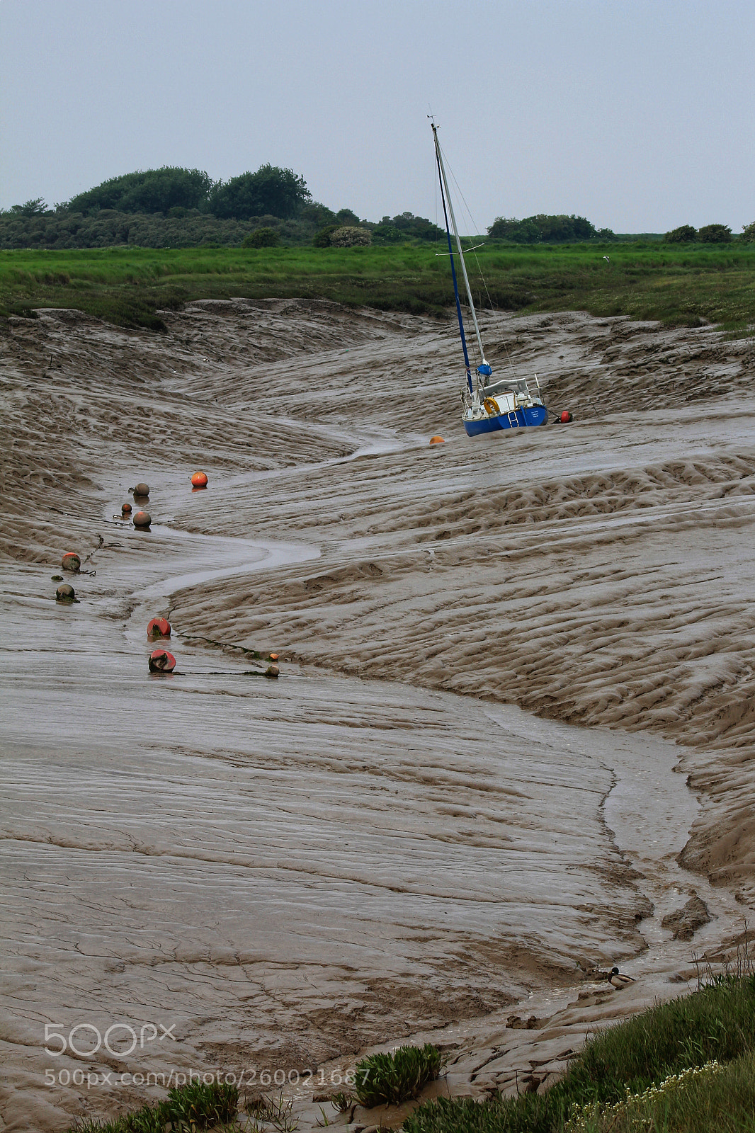 Canon EOS 1300D (EOS Rebel T6 / EOS Kiss X80) sample photo. Estuary mud photography
