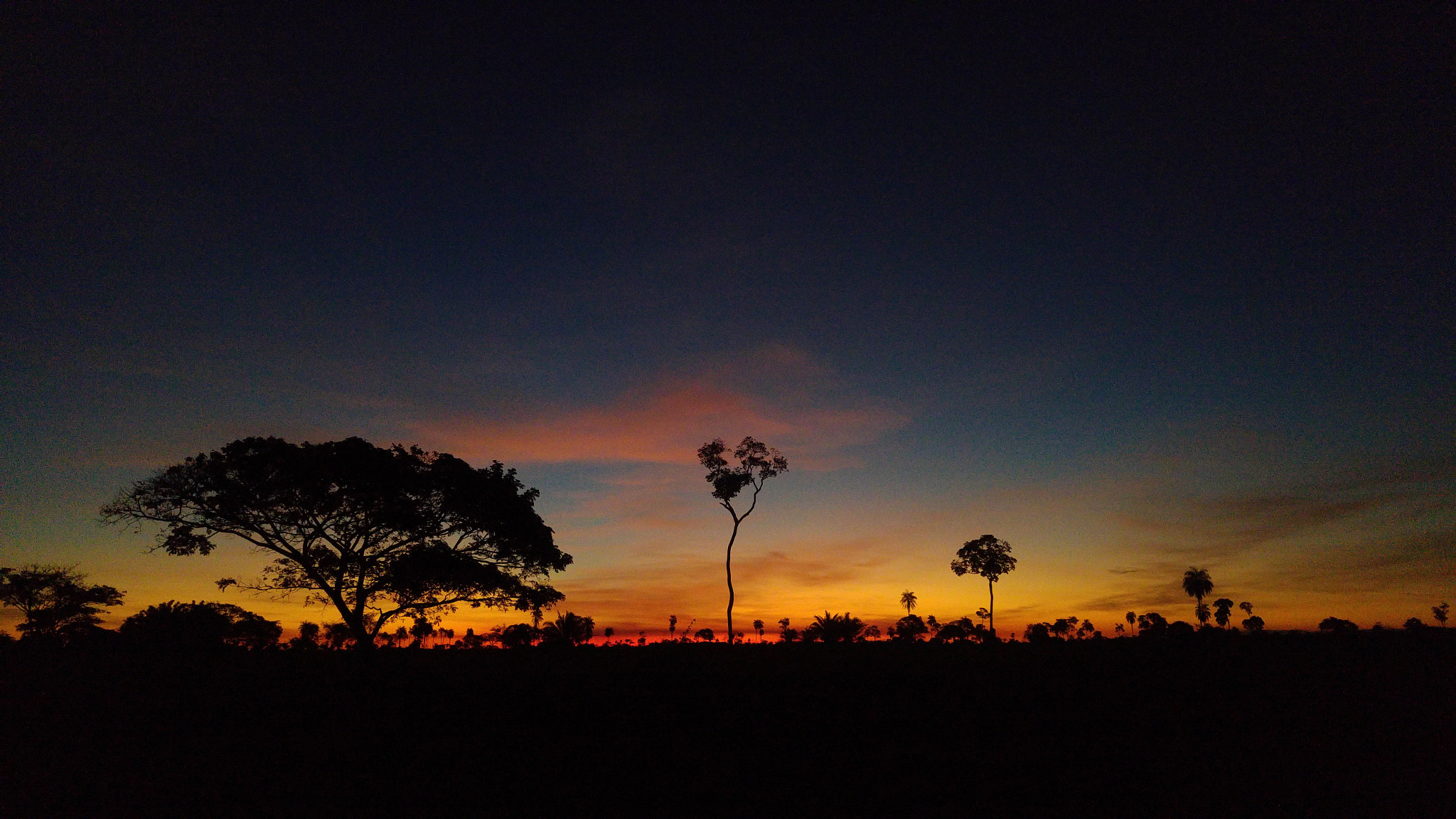 LG H815P sample photo. Fim de tarde photography