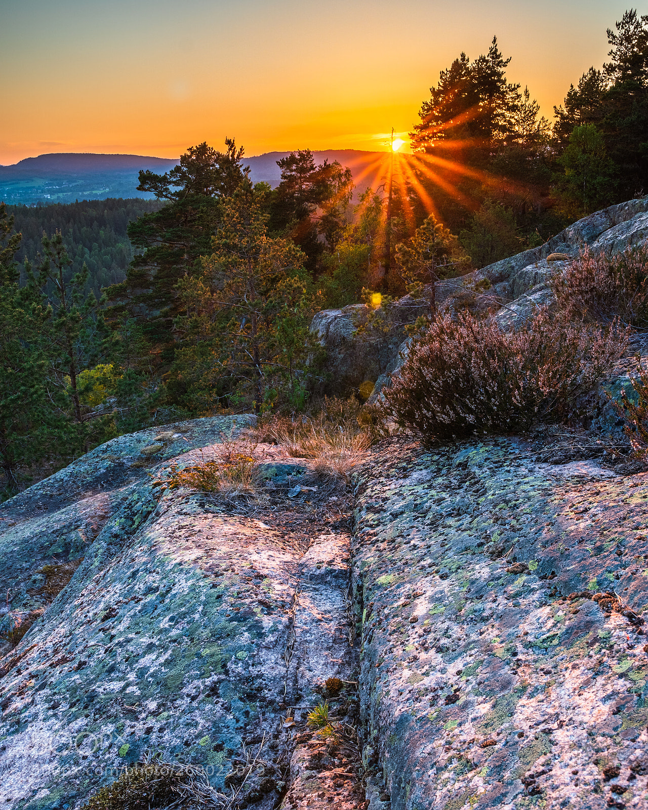 Sony a6500 sample photo. Sunset at the ridge photography