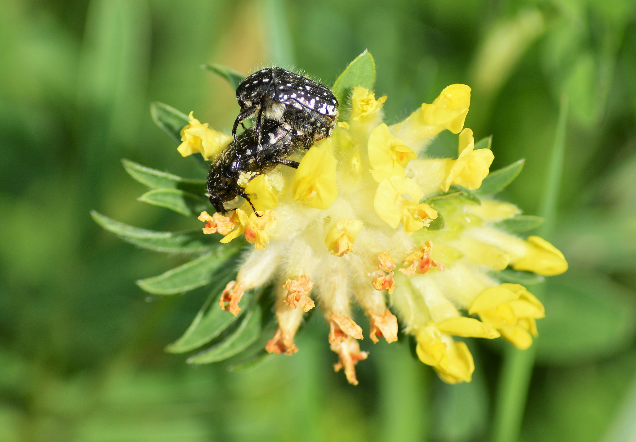 Nikon D3200 sample photo