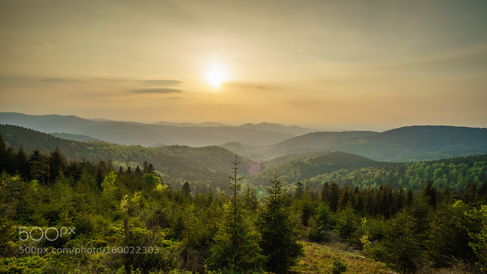 Sony a7 sample photo. Landscape schwarzwald photography