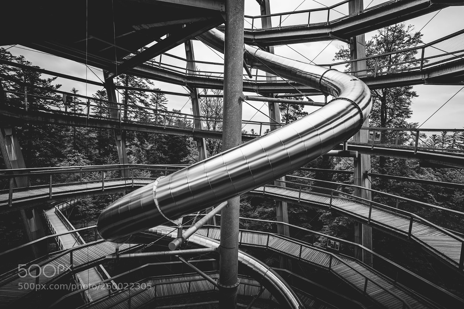 Sony a7 sample photo. Archologie baumwipfelpfad bad wildbad photography