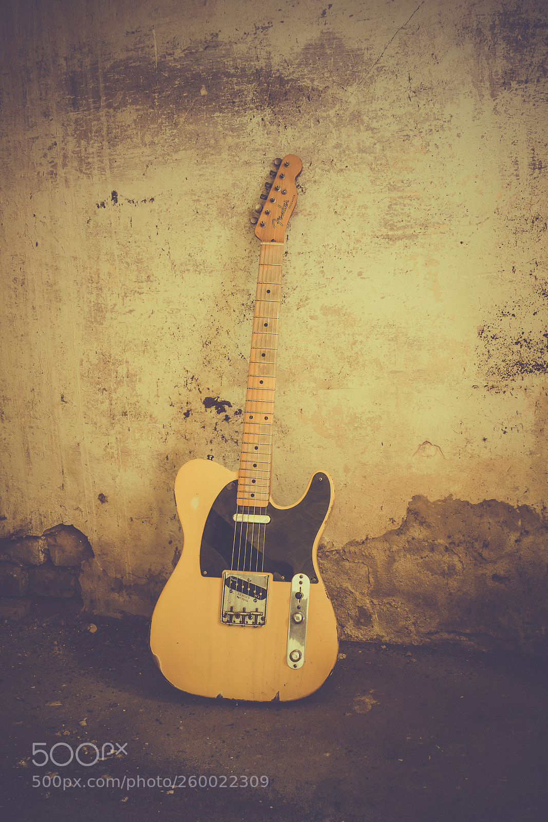 Canon EOS 100D (EOS Rebel SL1 / EOS Kiss X7) sample photo. Old school telecaster photography