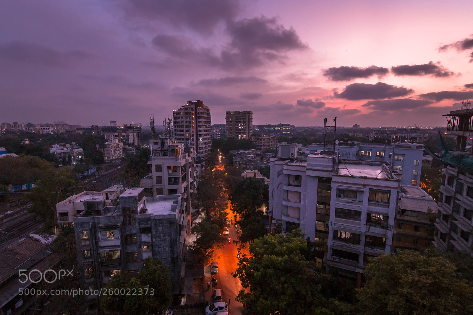 Canon EOS 6D sample photo. Magenta hue photography