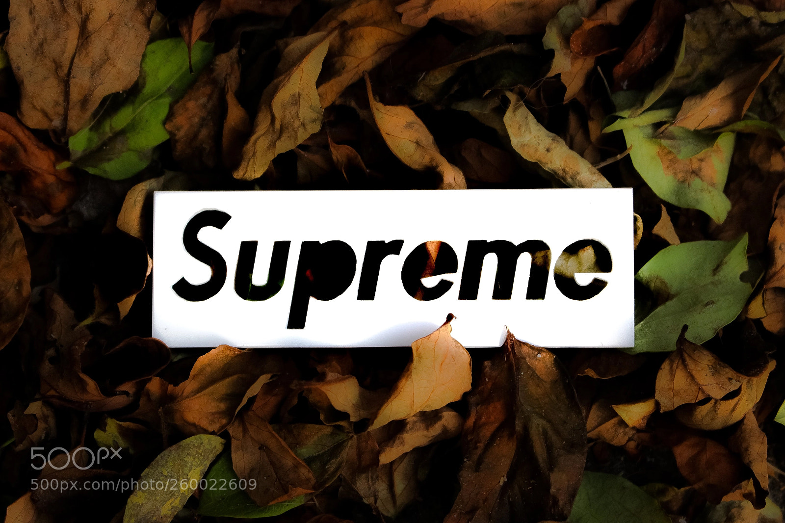 Canon EOS 700D (EOS Rebel T5i / EOS Kiss X7i) sample photo. Supreme photography