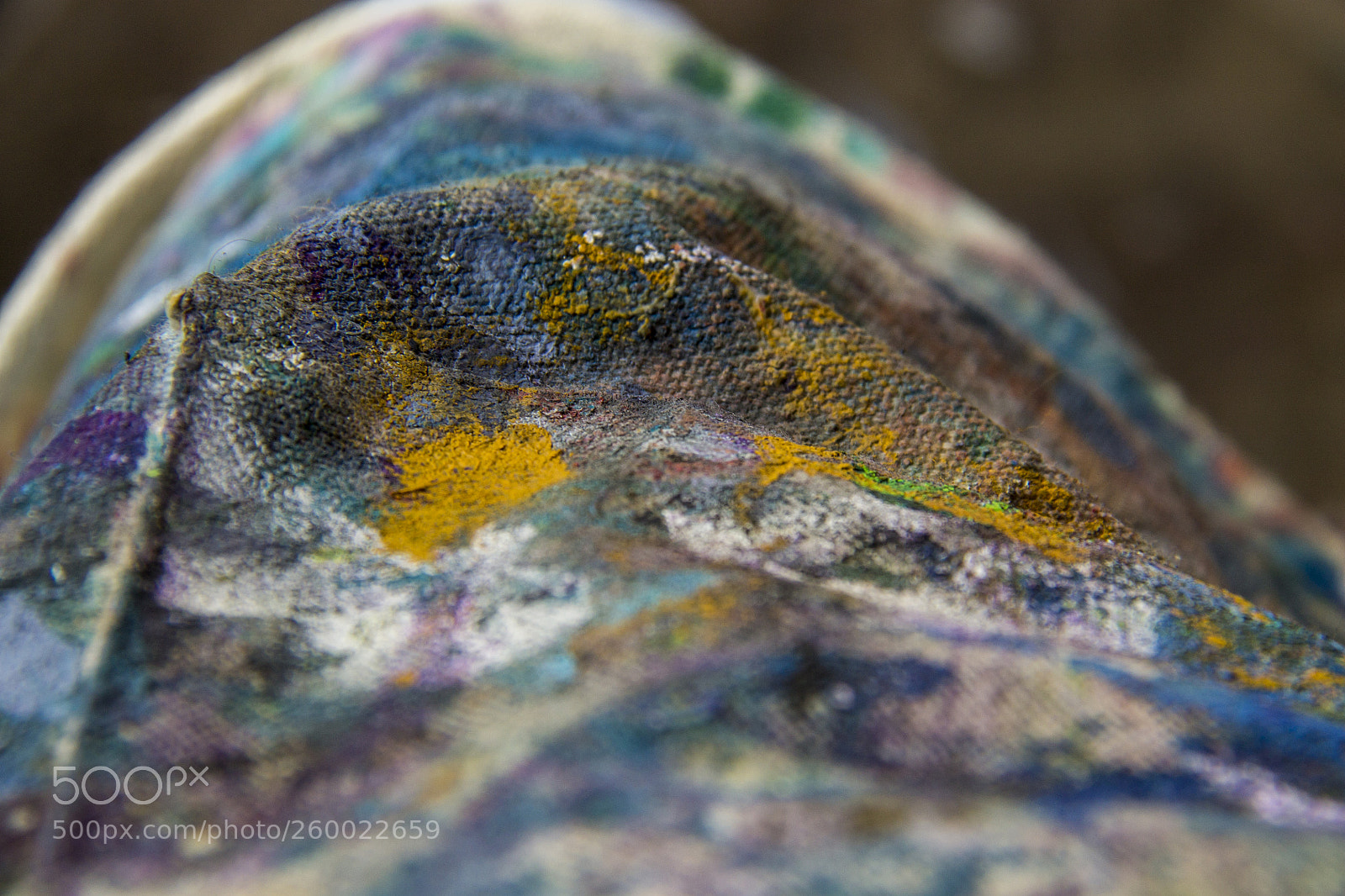Canon EOS 1100D (EOS Rebel T3 / EOS Kiss X50) sample photo. Painters apron photography
