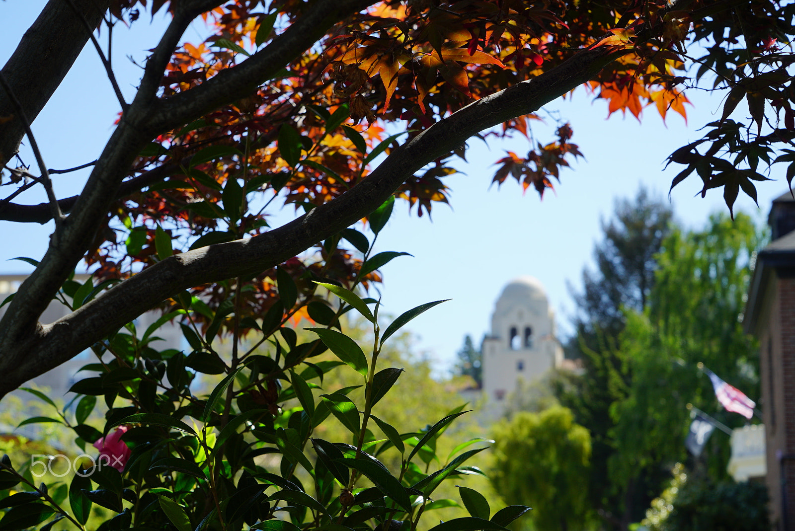 Sony a7S II sample photo. Berkeley photography