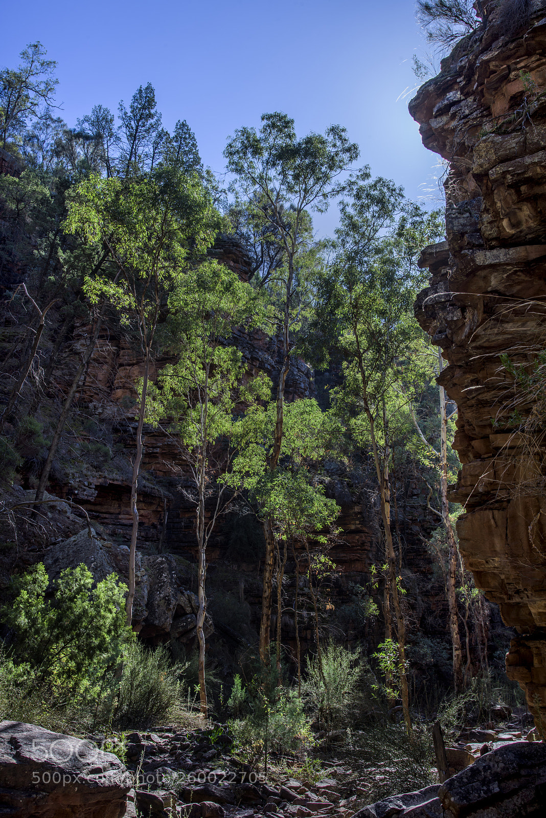 Nikon D810 sample photo. Alligator gorge,mount remarkable national photography